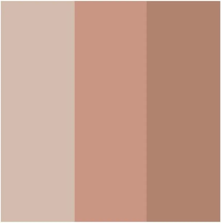 Océane Edition Paleta de Iluminadores Highlight Palette 3 Tons 7,2g
