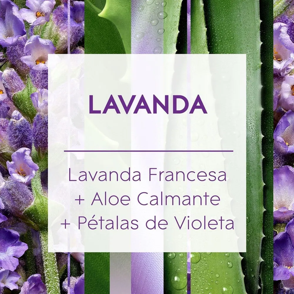 Glade Difusor de Ambiente Lavanda com 6 Varetas 100ml