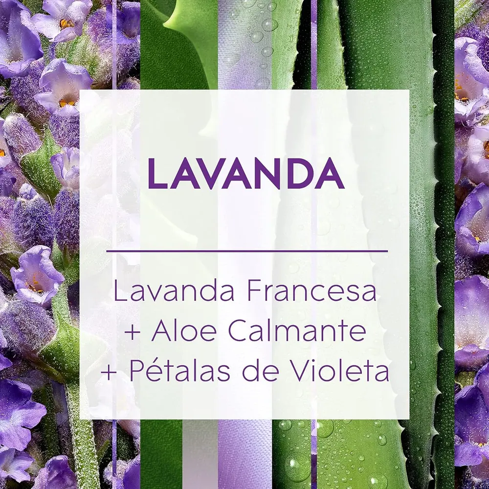 Glade Difusor de Ambiente Lavanda - Kit 2 Frascos 100ml com Varetas