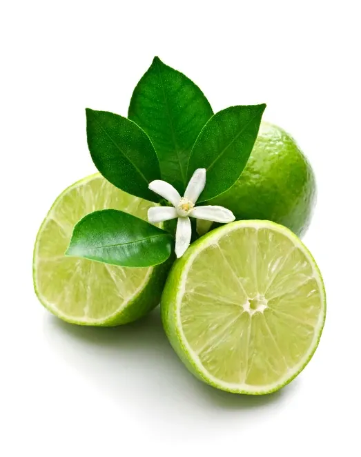 Lime - Aroma Natural de Limão