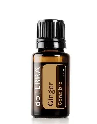 Ginger Óleo Essencial  Zingiber officinale (Gengibre)