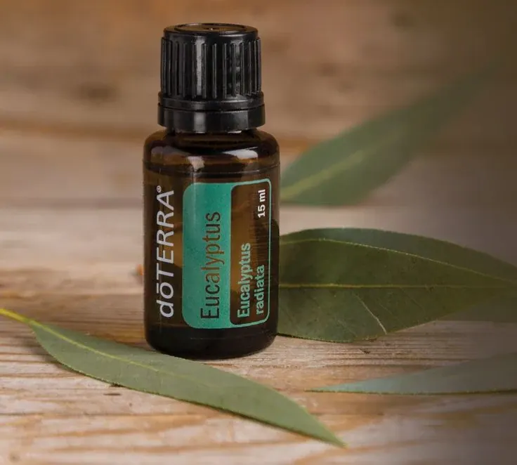 Eucalyptus Mix de Óleos Essenciais