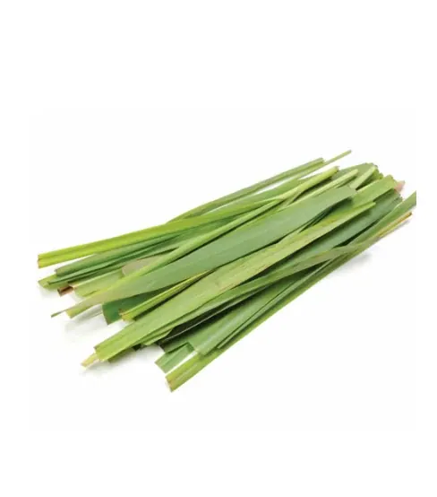 Lemongrass - Aroma Natural de Capim-limão