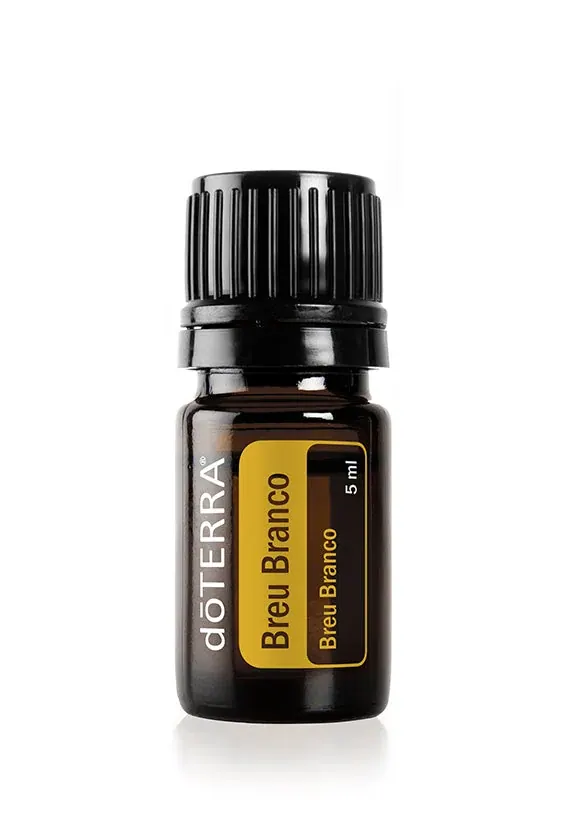 Breu Branco Óleo Essencial Protium heptaphyllum