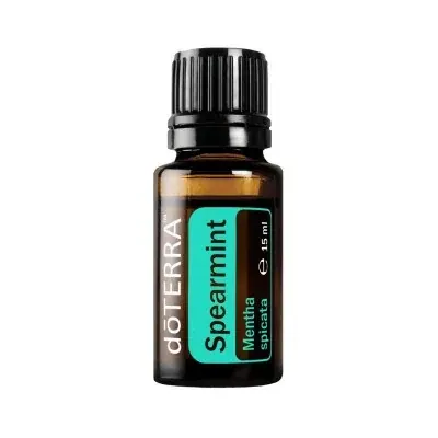 Spearmint Óleo Essencial  Mentha spicata (Hortelã-verde)
