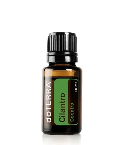 Cilantro Óleo Essencial  Coriandrum sativum (Coentro)