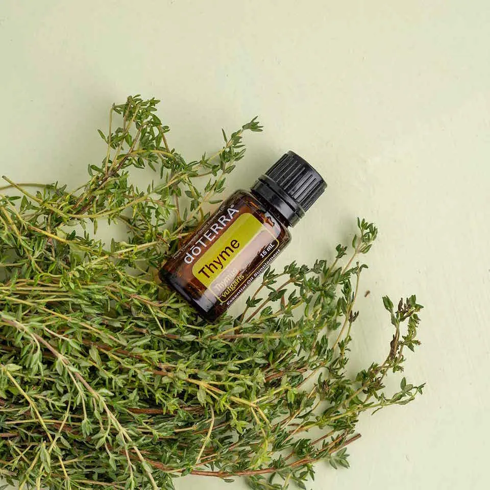 Thyme Aroma Natural de Tomilho